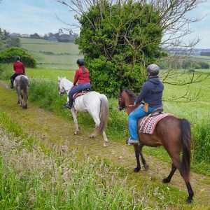 54503130984_38cf744c2c_c