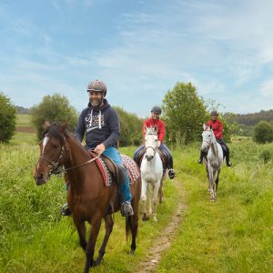 54503131354_266d7f4b0d_c