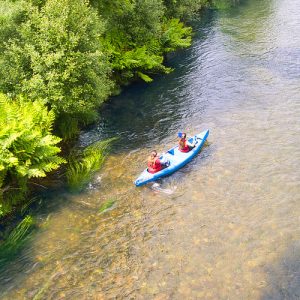 54545996791_babd2a1de6_c