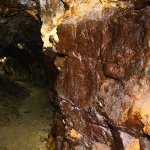 54577409258_605e197bca_c (1)