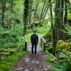 54577465798_2ffbc5987e_c