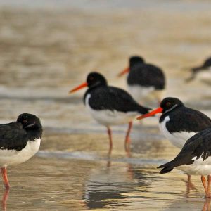 01-experiencias_21863_experienciaeii2_21863_03_677fa3d3a990e