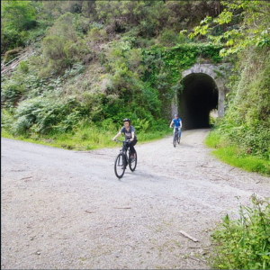 Captura de Pantalla 2025-07-10 a las 11.42.28