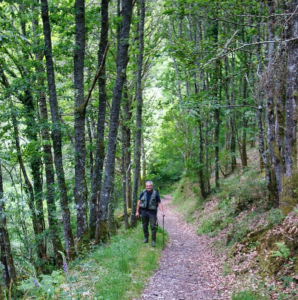 Captura de Pantalla 2025-07-10 a las 11.43.01