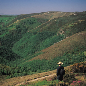 Captura de Pantalla 2025-07-10 a las 11.56.42