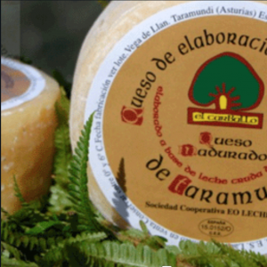 Captura de Pantalla 2025-07-14 a las 7.27.43